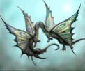 Butterfly dragons in love