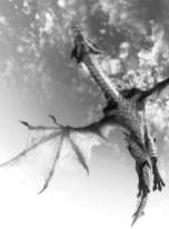 Dragon in sky black and white